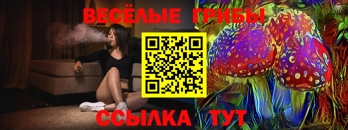 Галлюциногенные грибы GOLDEN TEACHER  Псилоцибиновые грибы прущие грибы  Анжеро-Судженск  Вход с VPN 
